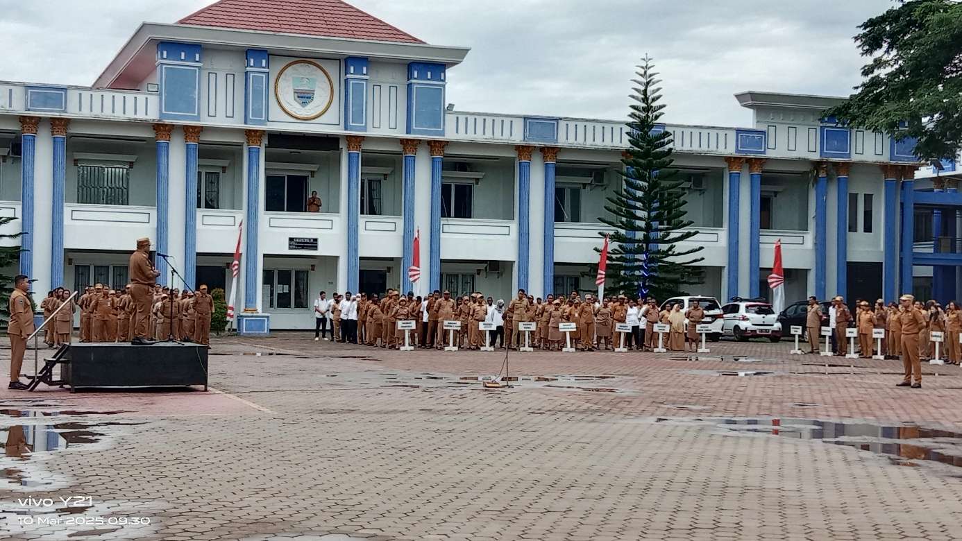 Compress_20250310_131634_4592