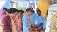 Compress_20251105_130545_5274