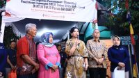 Compress_20260210_170616_6598